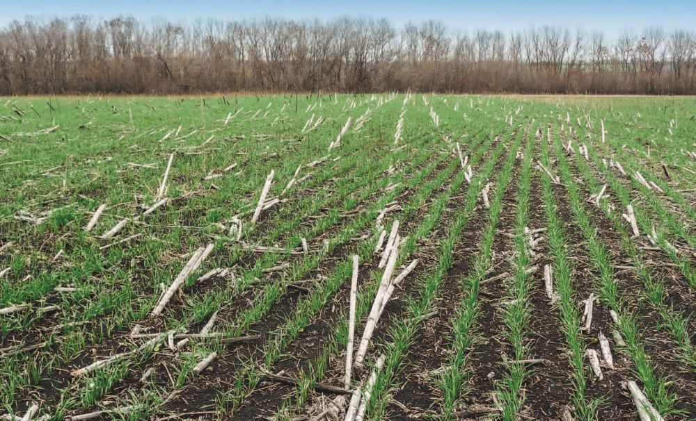 Первый опыт No-till – 21 ноября 2012 года