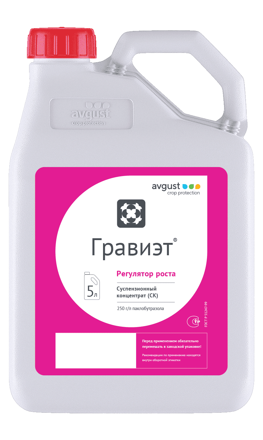 Гравиэт