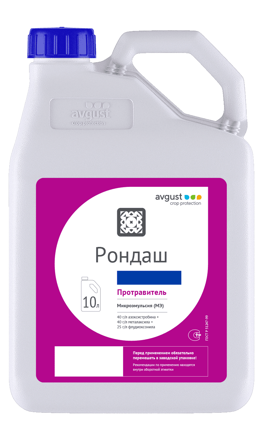 Рондаш