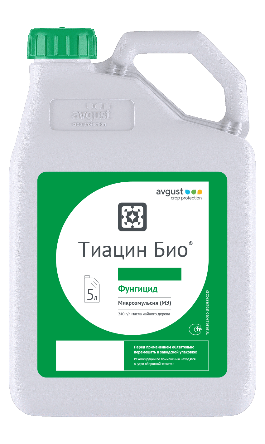 НордСтрим