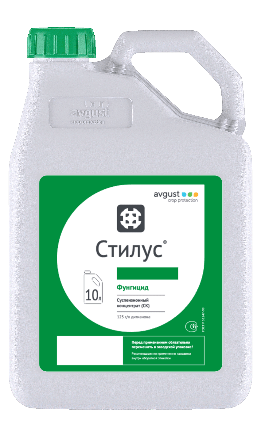 Стилус
